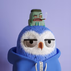 807