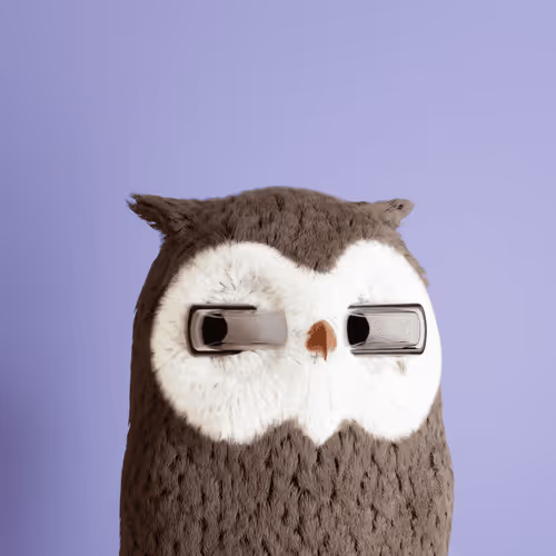 3dbirds