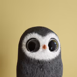 5594