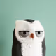 3411