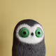 8005