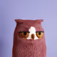 7958