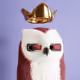 3536