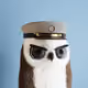4946