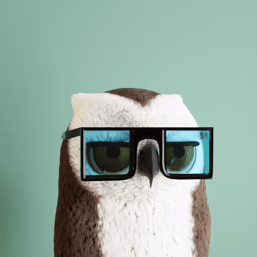 3dbirds