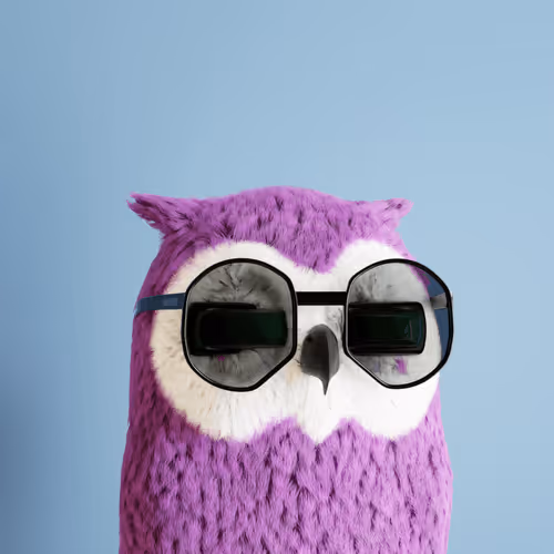 3dbirds