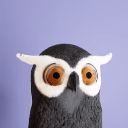 7954