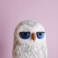6023