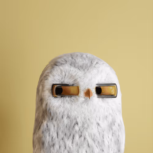 3dbirds