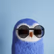 291