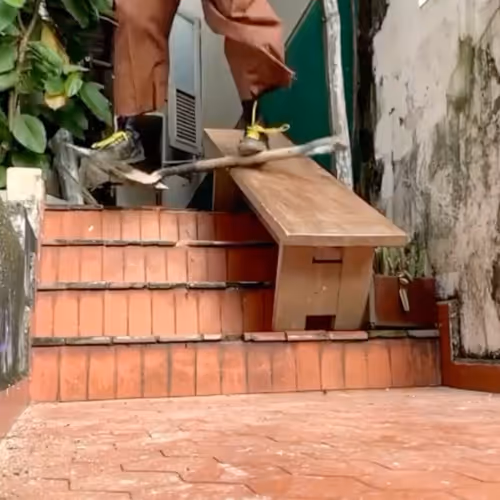 Tricks On Objects