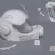 3Moons_Evidence_1