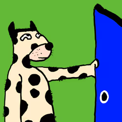 43
