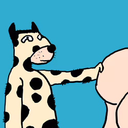 51