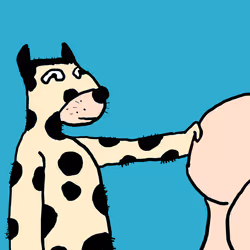 52