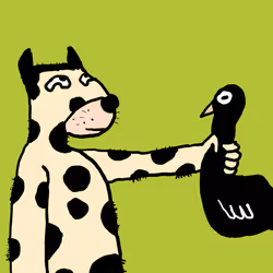 34