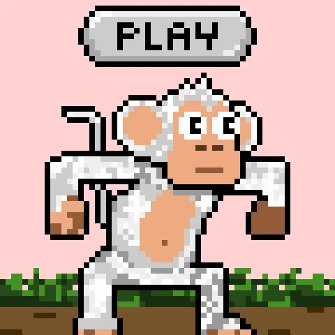 Chimper Runner #1252
