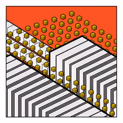 Block #46