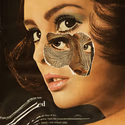 194887865022236412480476782295092307895