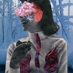 27263865300230952408820571332886342268