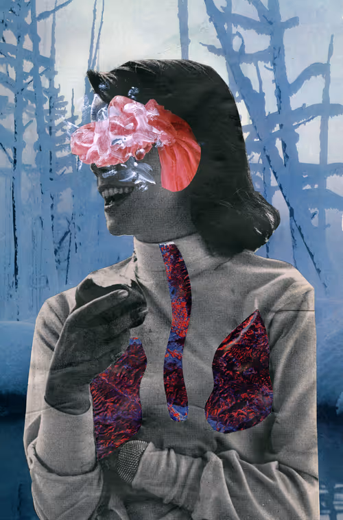 Item #27263865300230952408820571332886342268 Media