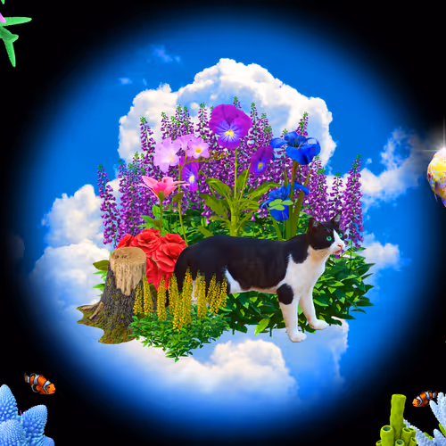 Portraits - HhJrw7gIFc