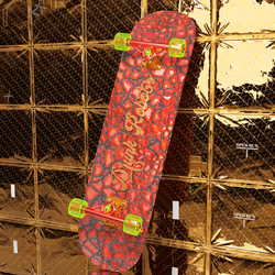 Skater Pass #90