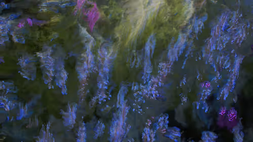 Item #23000001 Media