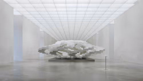 Item #64000001 Media