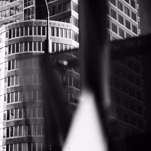 CITY - Fascinating Disarray