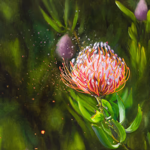 Protea African native flower 1/1