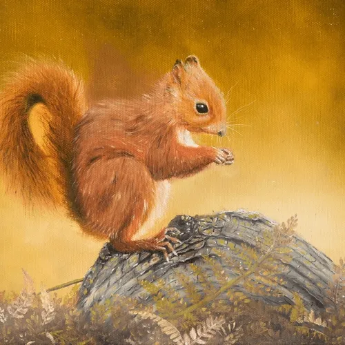 Squirrel 1/1