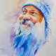 ArtOfWhole