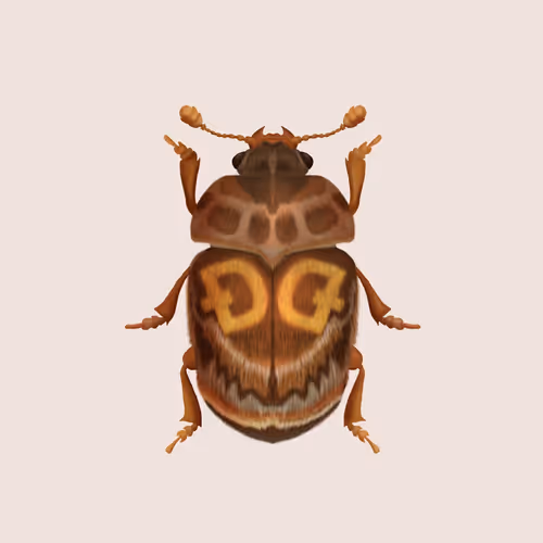 Volpes Crypto Beetles