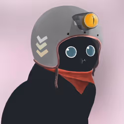 853