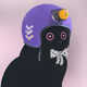 446