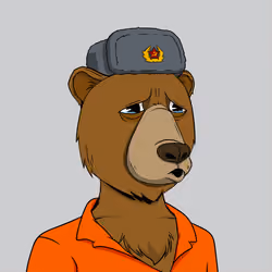 Bored Bear #641