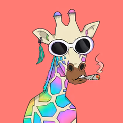 Giraffes at the Bar #1758