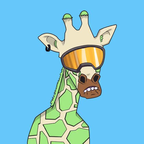 Giraffes at the Bar #705