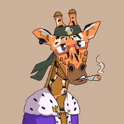 Giraffes at the Bar #107