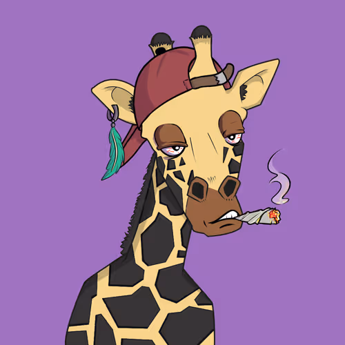 Giraffes At The Bar