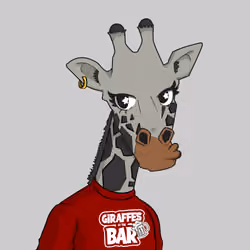 Giraffes at the Bar #410