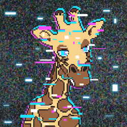 Giraffes at the Bar #1769