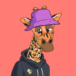 Giraffes at the Bar #612