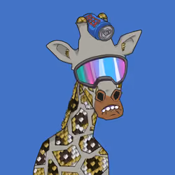 Giraffes at the Bar #1700