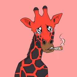 Giraffes at the Bar #415
