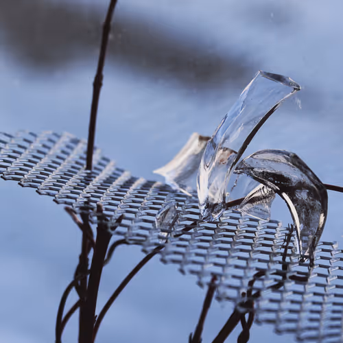 _transparent