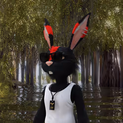 704