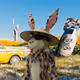 7375