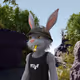 586